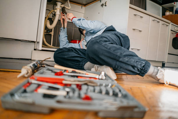 Best Plumbing Services Near Me  in Hansen, ID